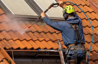 Démoussage et hydrofuge de toiture à Cellettes